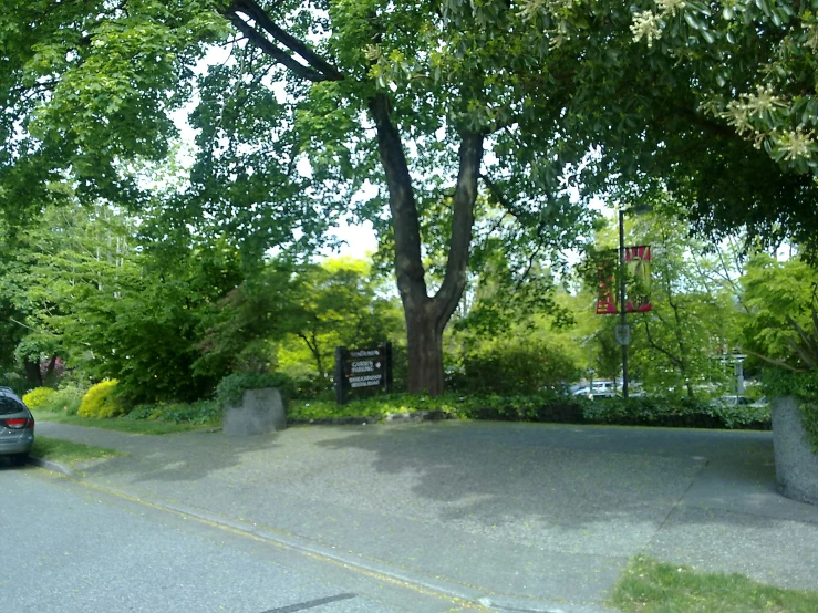 a parking lot on the corner near a tree