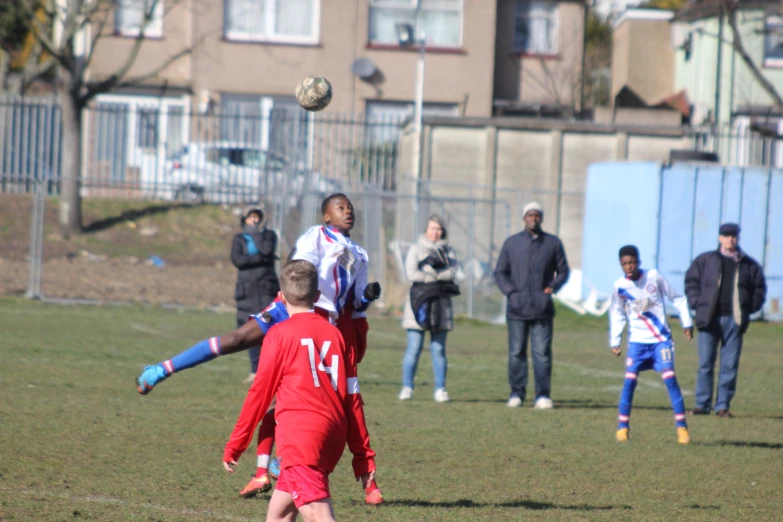 some soccer players on a field kicking the ball