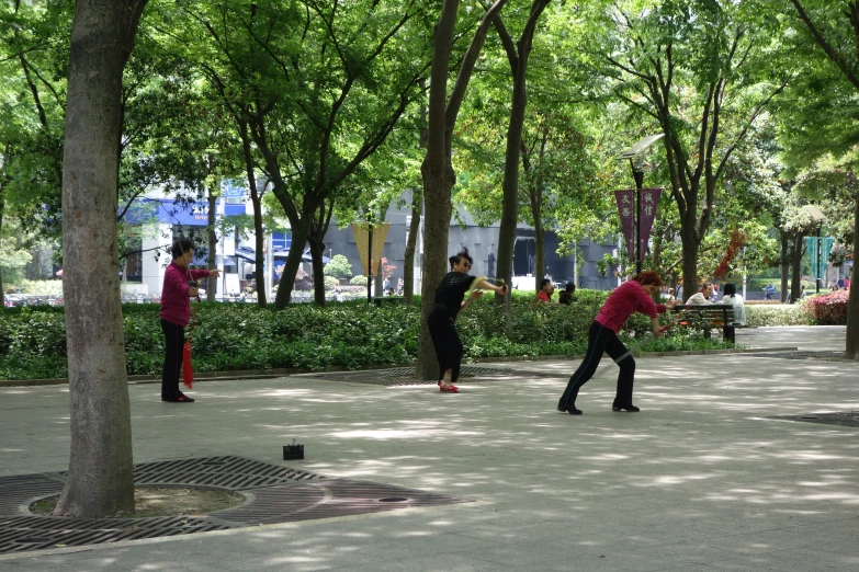 several people are in a park near some trees