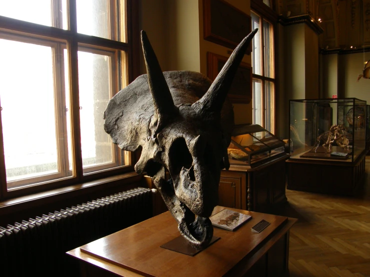 a sculpture of a bull head is on display in an old building