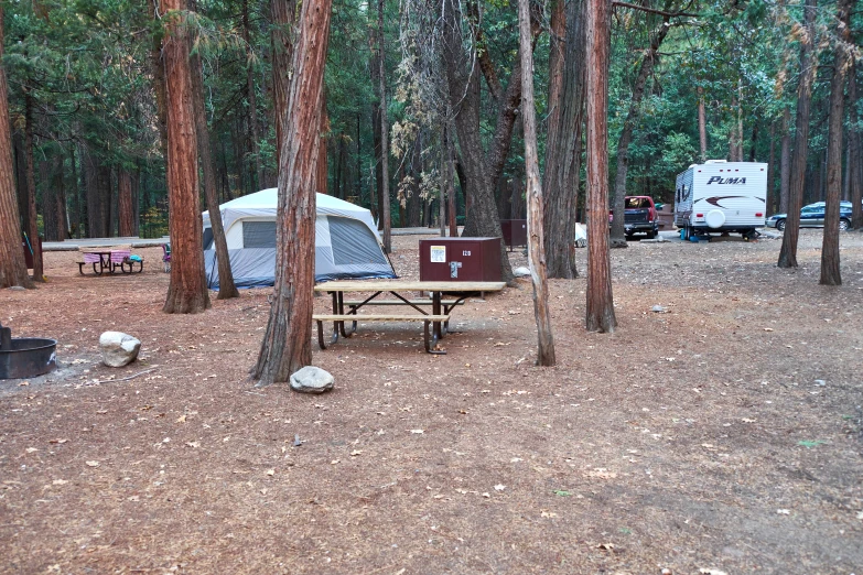 camping area with tents, camper and trees on sunny day