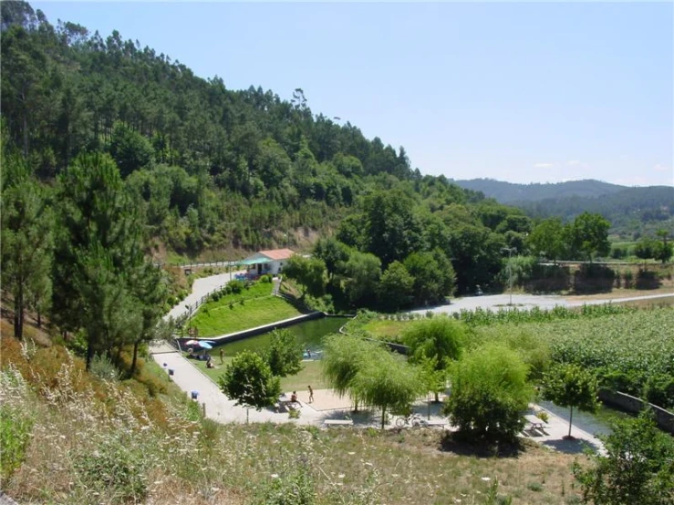 a grassy park in the mountains with a winding path