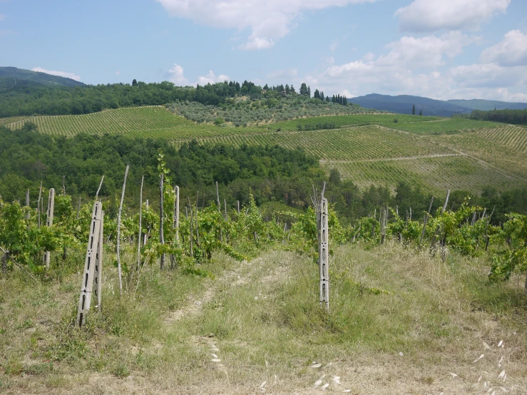 the fields and trees are shown in this picture