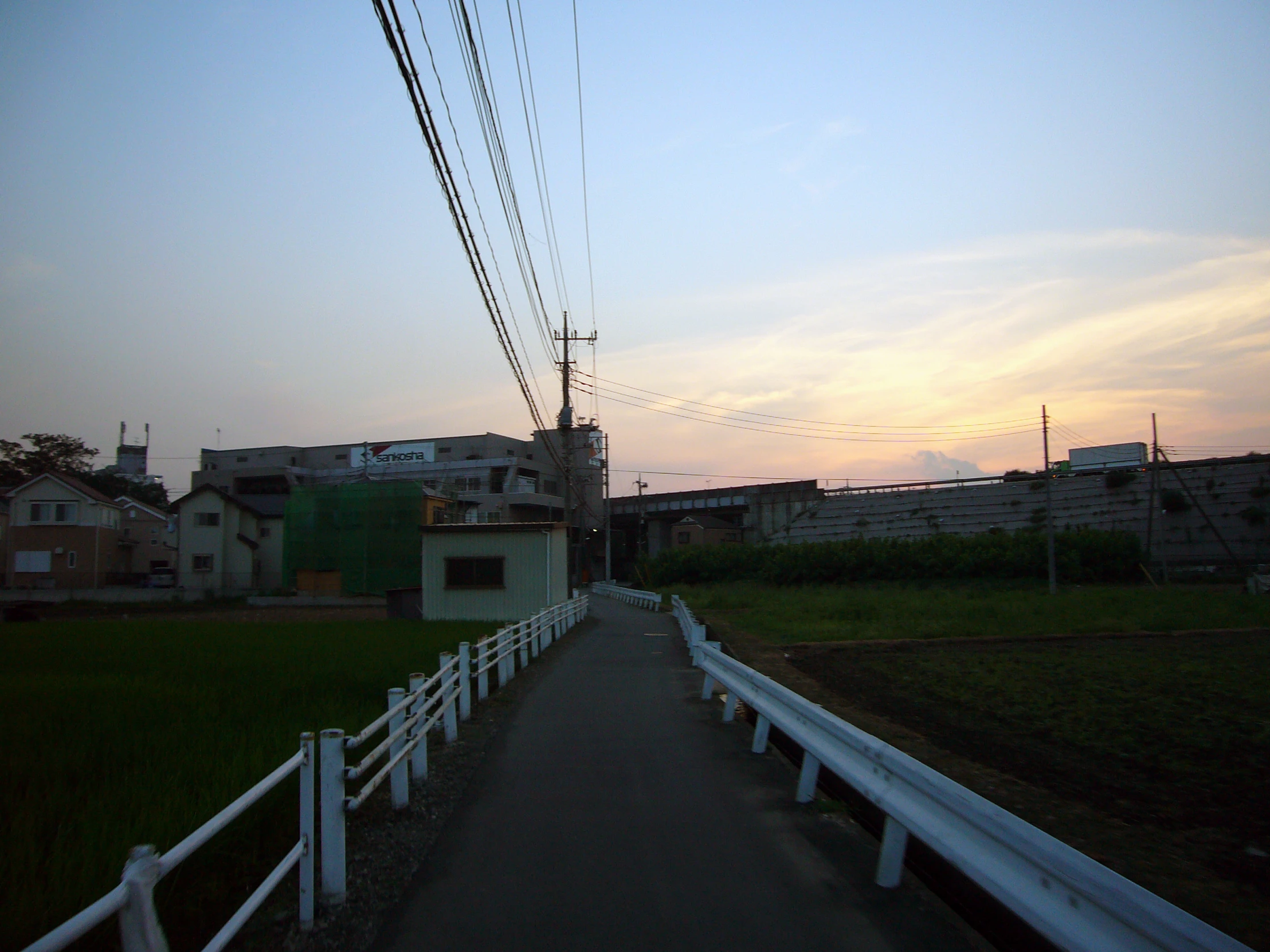 power lines and telephone poles line a road