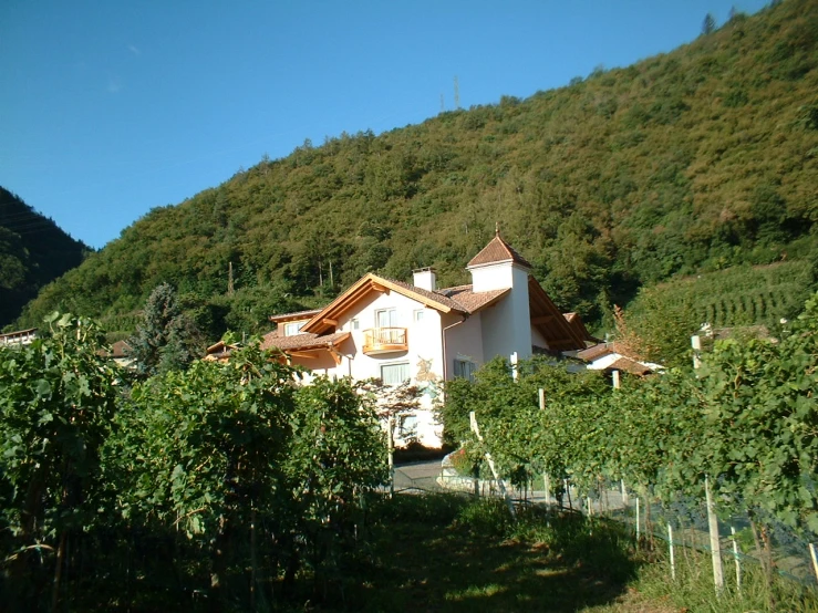 a building in the middle of a vineyard