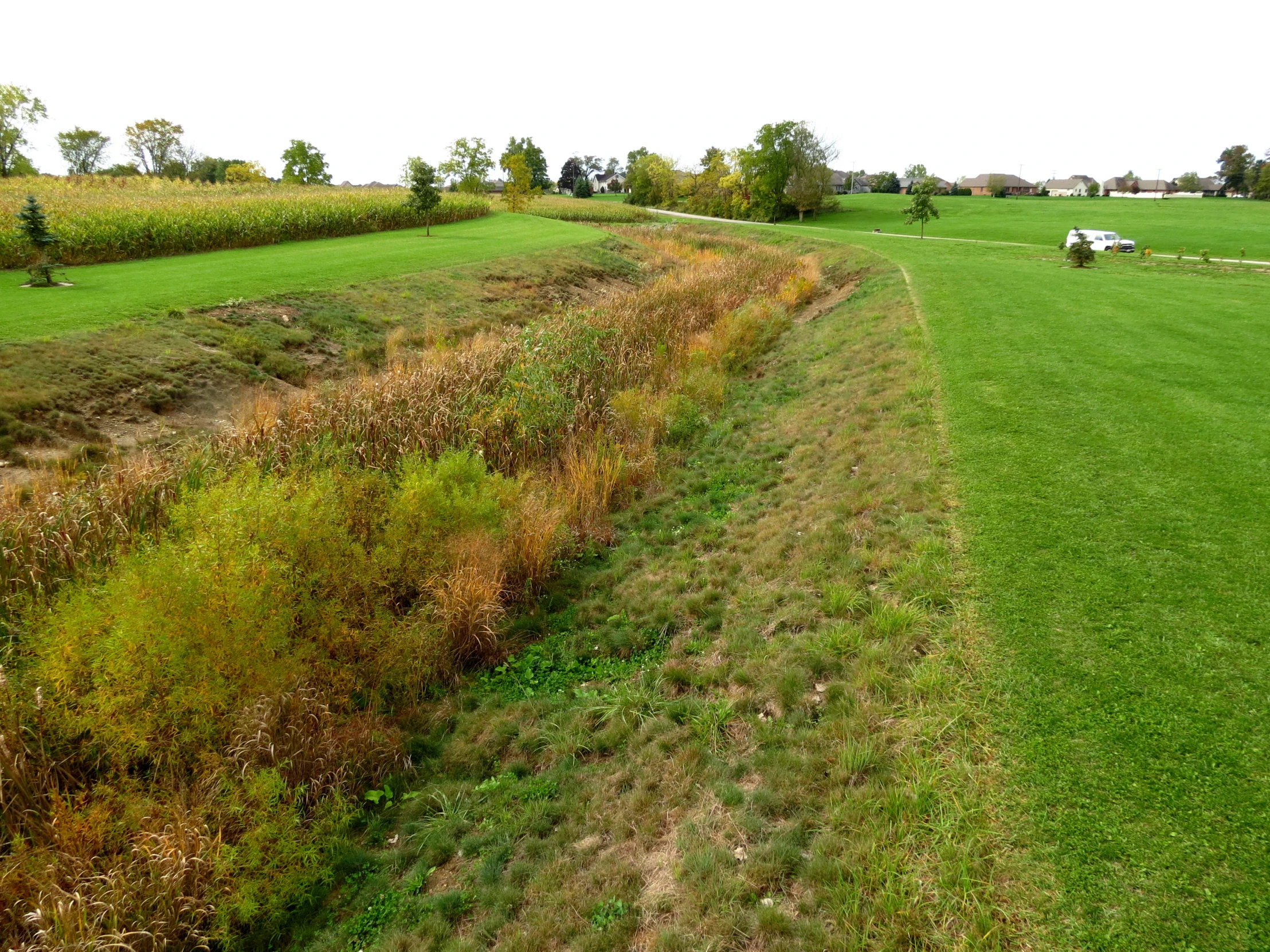 a green field with some animals in it