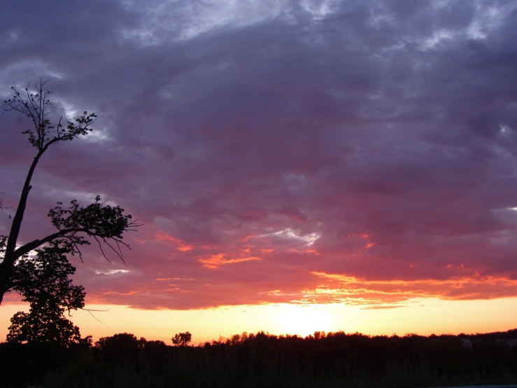 some pink clouds and trees with the setting sun