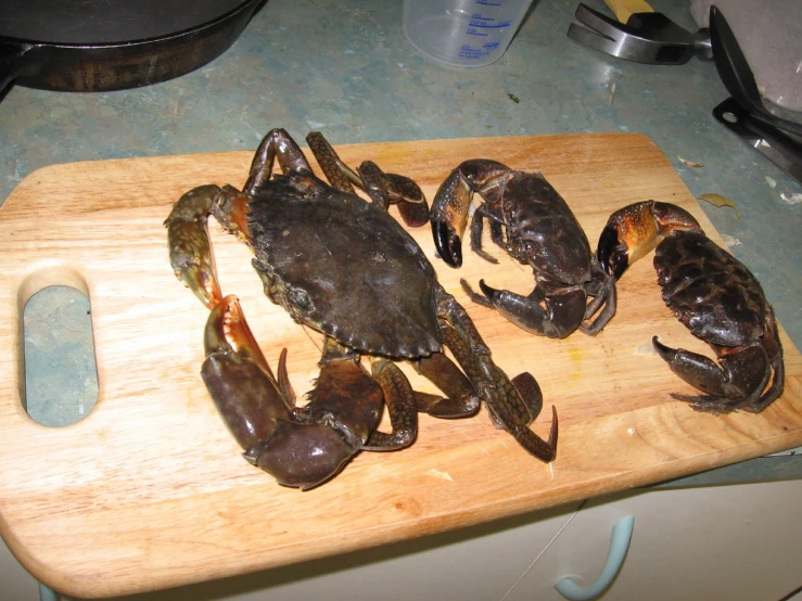 several blue crabs on wooden  board near silver canister