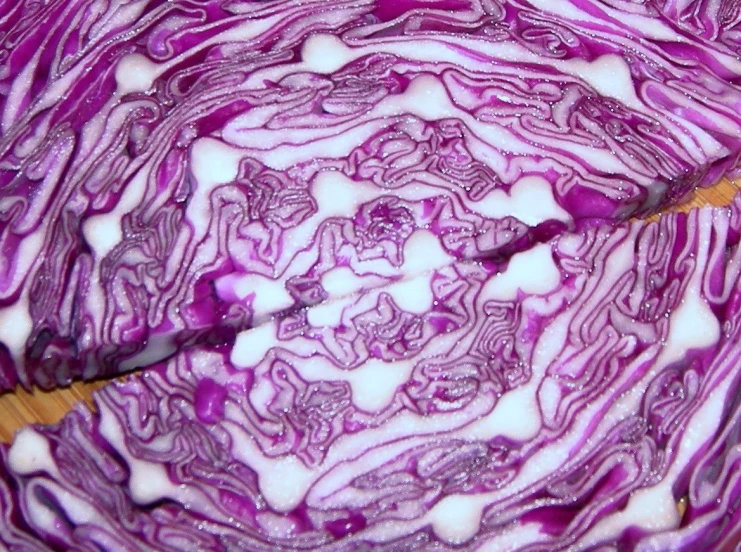 close up po of red cabbage with a yellow edge