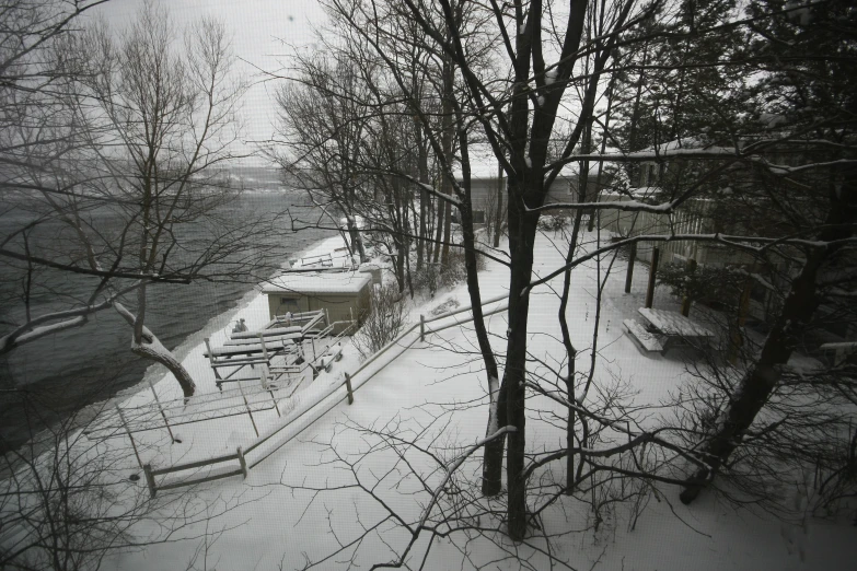 a snowy landscape has trees, benches, and houses on it