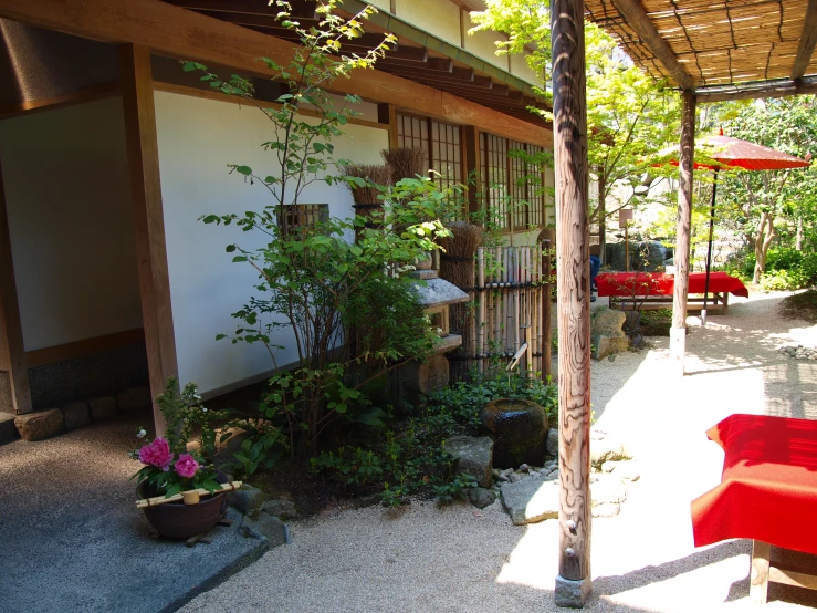 a building is next to a tree with a lot of potted plants