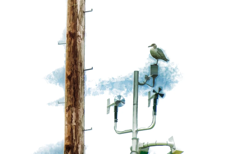 a bird perched on a wooden post next to an electrical pole