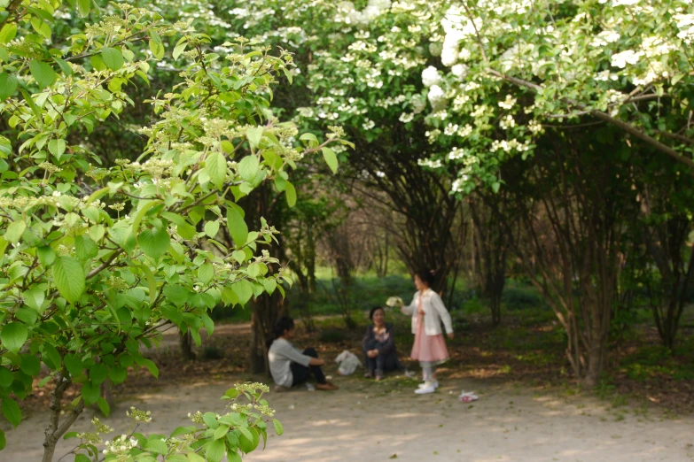 children and their parents are sitting around in the grass