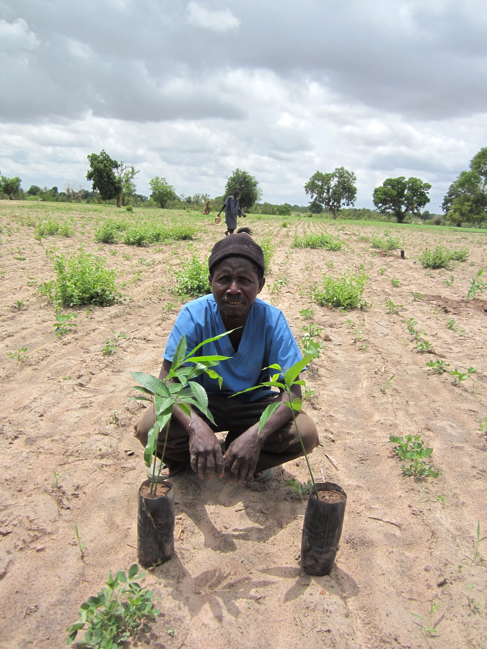 a man kneeling in the dirt with two tree stumps