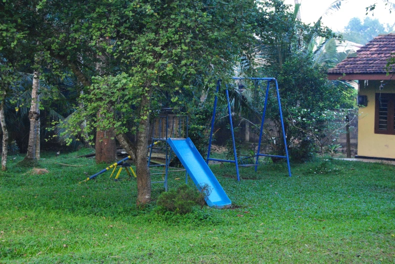 a blue slide set next to a tree