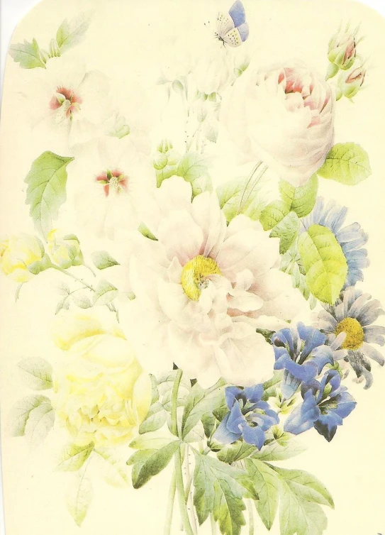 an illustration of white, purple and yellow flowers