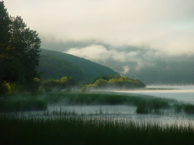 a lake with mist covered water in the foreground and forested mountains in the background