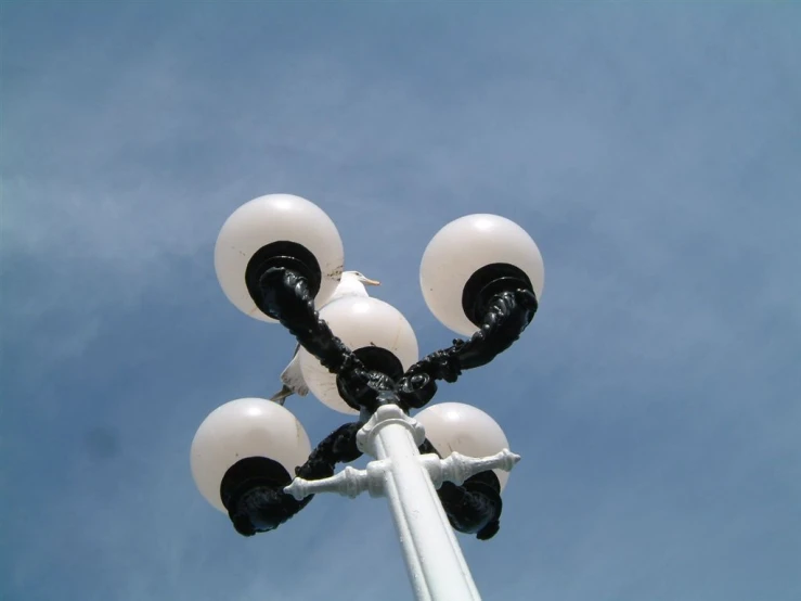 the view of three street lamps with white orbs