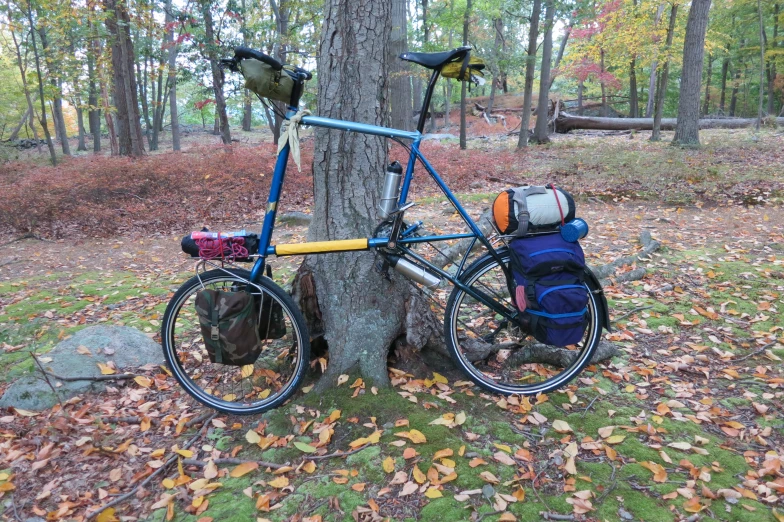 a bicycle parked next to a tree on a grass field