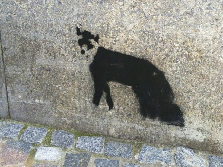 black dog's shadow in the cement near a street
