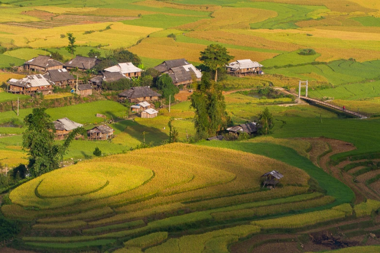 a green valley with rice fields near a town