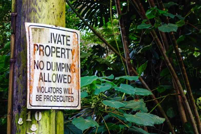 a very dirty street sign on a tree trunk