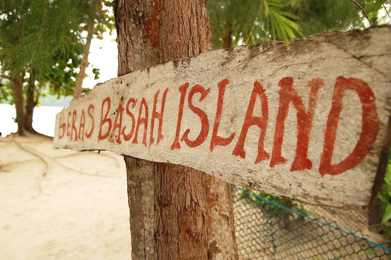 a red and white sign sitting on top of a tree