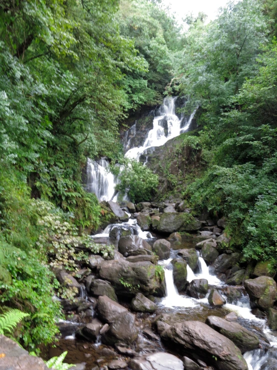 a small waterfall surrounded by green trees