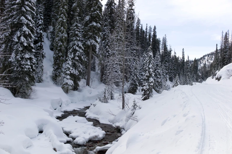 a creek is running through the snow on this snowy road