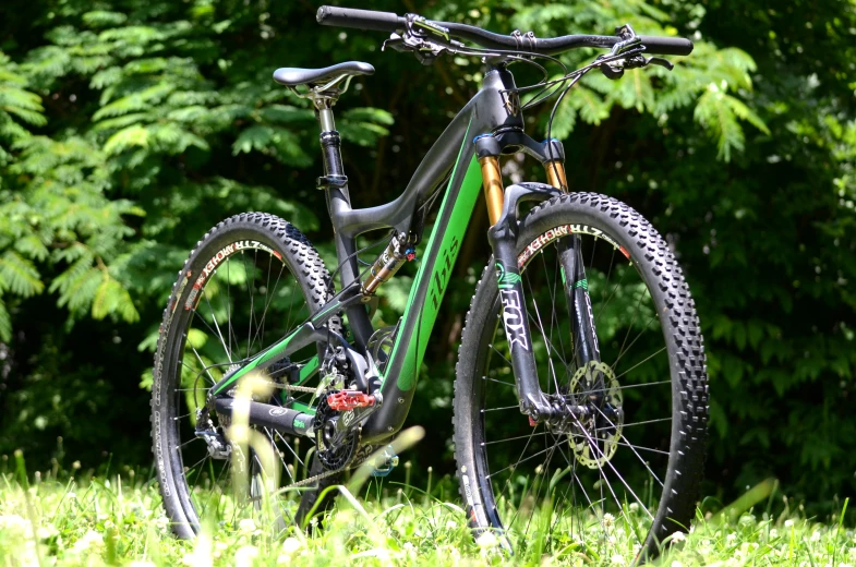 a large mountain bike in the grass by a forest