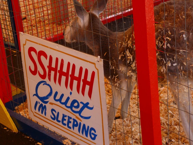 a cute little animal behind a fence by a sign