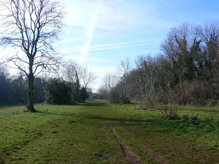 a dirt path in an open field between trees