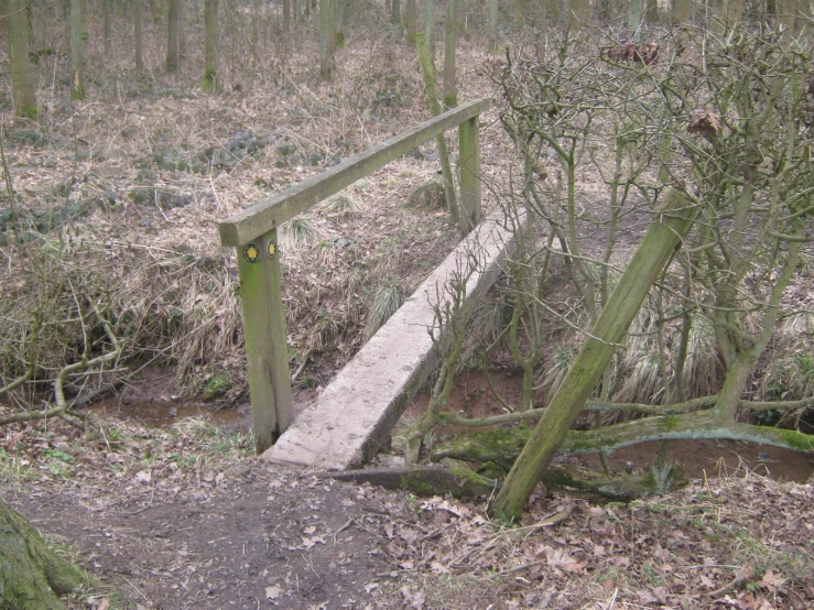 a small wood bridge on top of a path in a wooded area