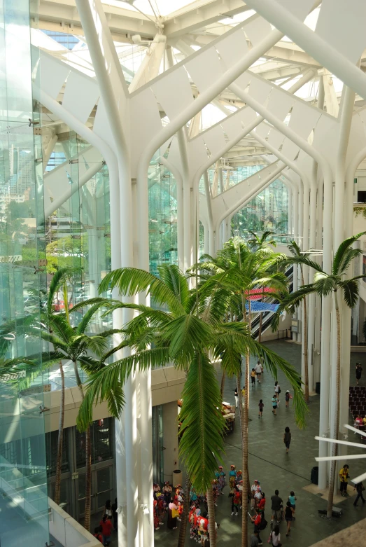 inside of an airport with trees in the middle