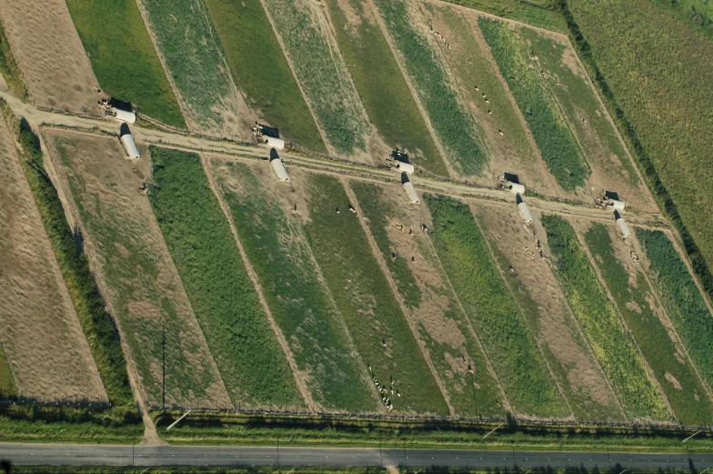 an aerial view shows several fields in the middle of nowhere