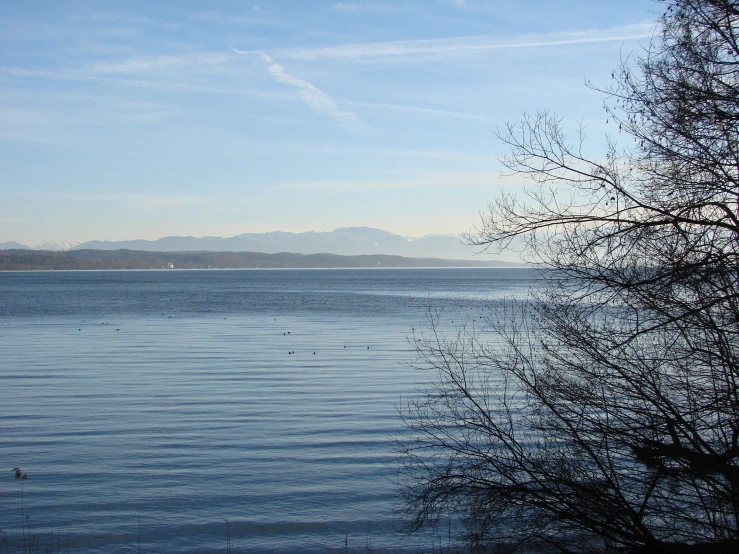 a lake that has birds swimming in the water