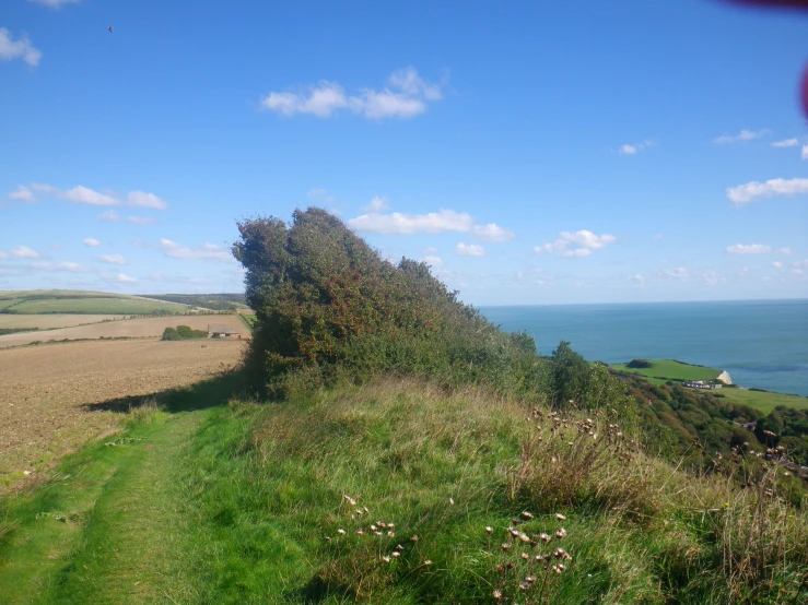 green grassy hill with a view of a large ocean