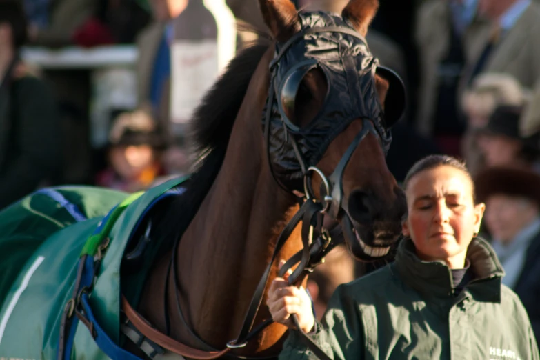 a woman holding onto the bridle of a horse