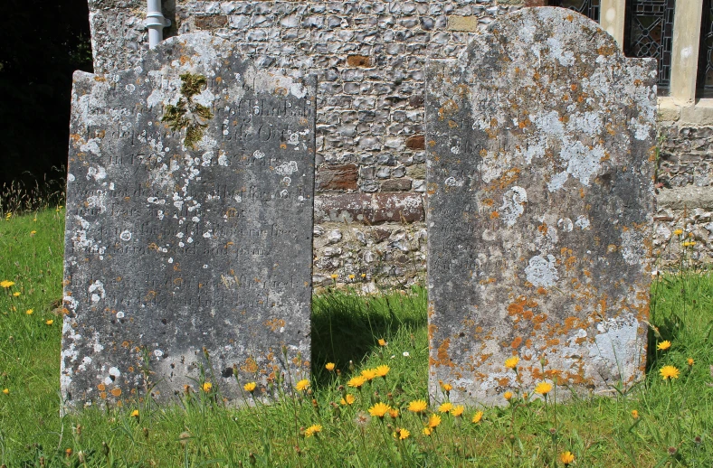 two old stone buildings that have plants growing out of them