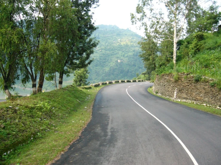 a curved road on both sides with trees on each side