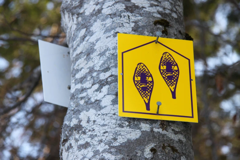 a sign is attached to the trunk of a tree