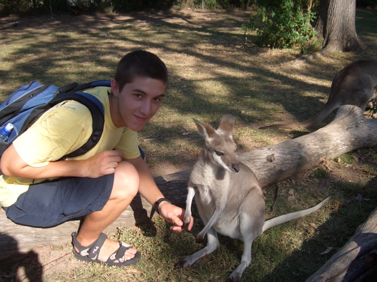 a man kneeling down next to a kangaroo