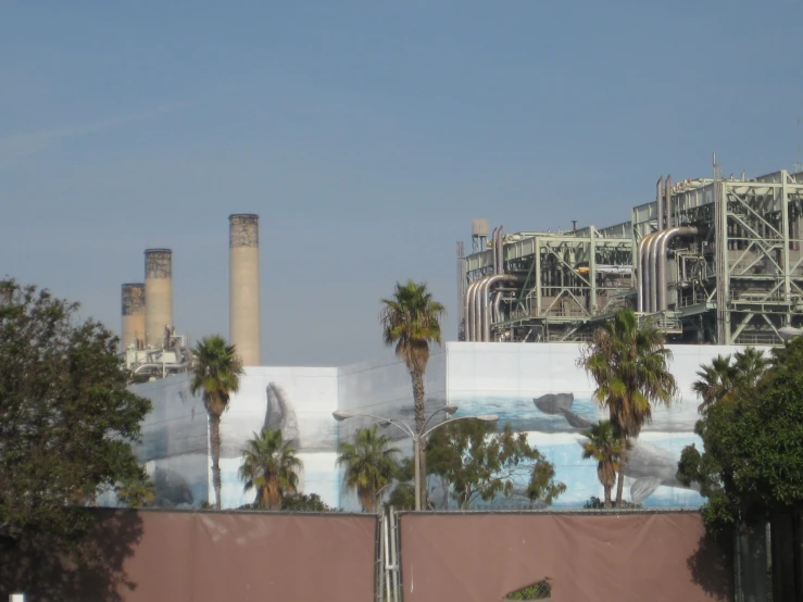 a group of trees are near a construction site