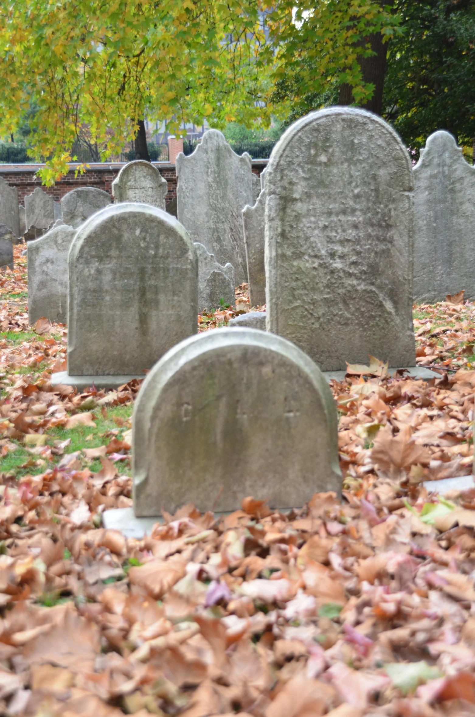 a cemetery full of tombstones and leaf covered ground