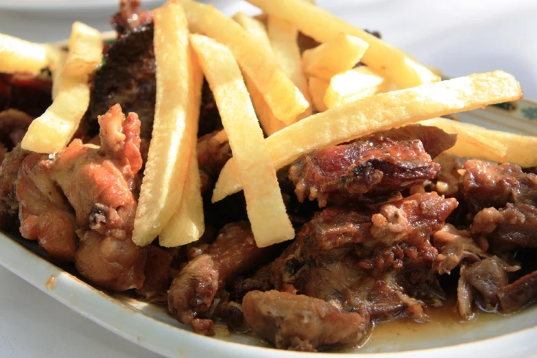 cooked food on a plate, with meat and french fries