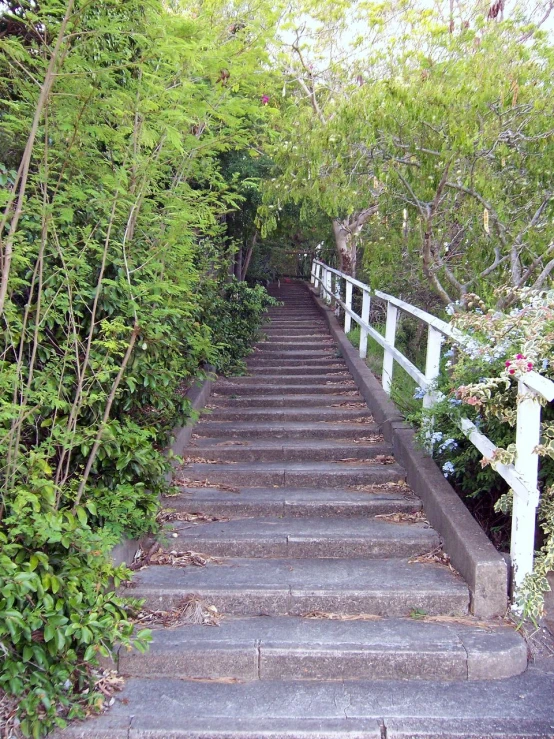 a group of steps leading to the top of a hill