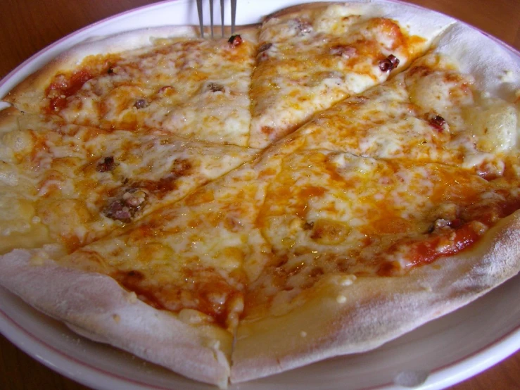 a large plate with a sliced pizza on it