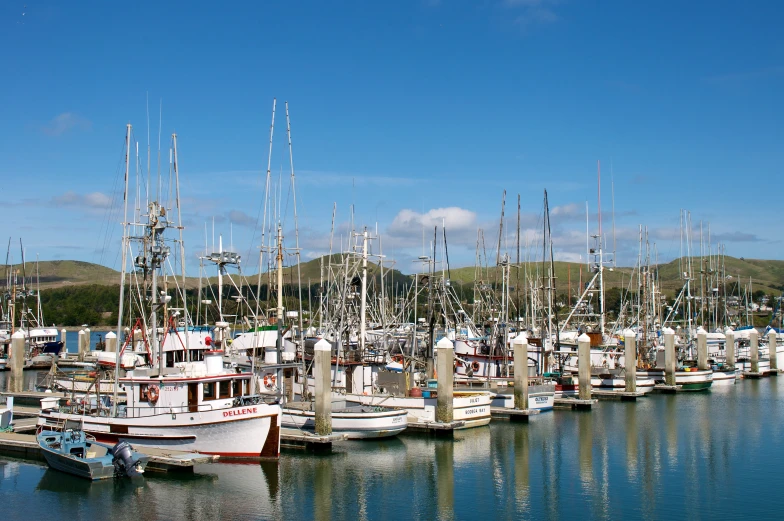 many boats sitting in a harbor on a sunny day