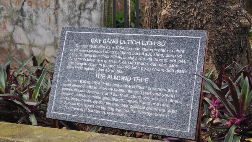 a memorial is in front of a tree and plants