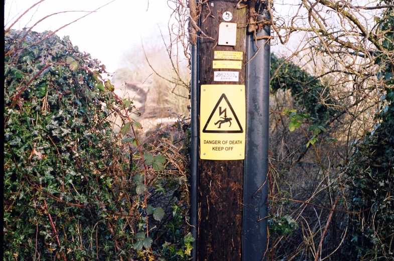 a pole with some signs on it and bushes